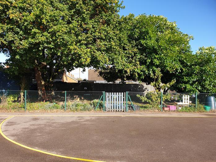 A sunny view of a garden with lush green trees, a white picket gate, and a green wire fence, bordered by asphalt. 