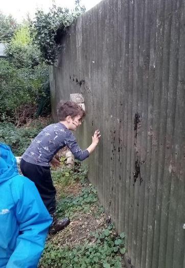 A young boy with face paint and a patterned top touches a weathered wooden garden fence. Green plants cover the ground. 