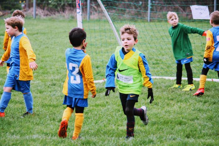 A group of young boys in blue and yellow football kits, some wearing green bibs, playing on a green grass pitch near a goal. 
