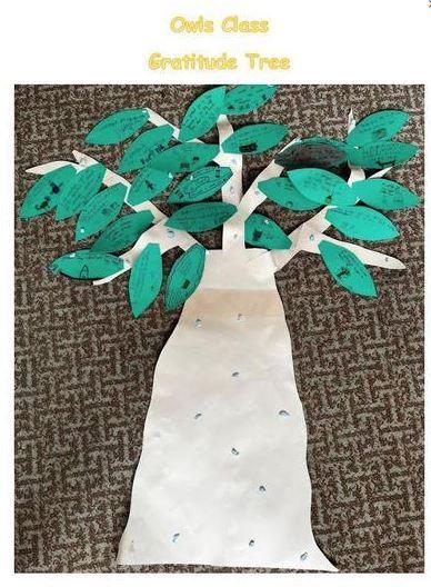 owls tree
